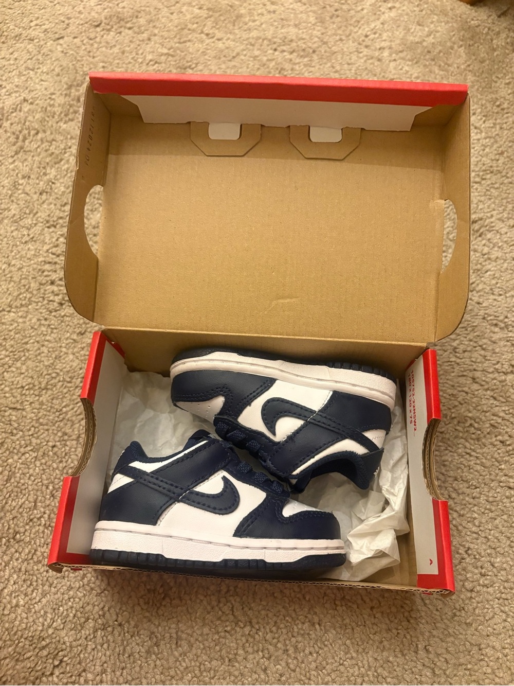 Toddler Nike Dunk Low
